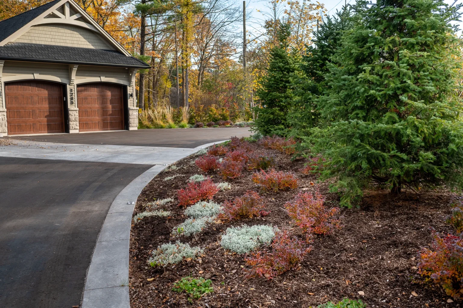 Curved driveway-edge planting bed with conifers and low ornamental planting in Ancaster.