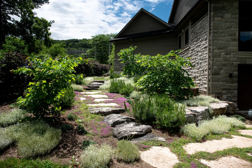 Natural stone garden path and steps running beside a stone-clad home in Ancaster.