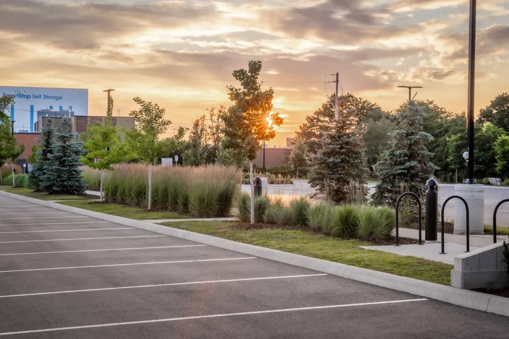 Commercial parking landscape with ornamental grasses and evergreens at sunset.