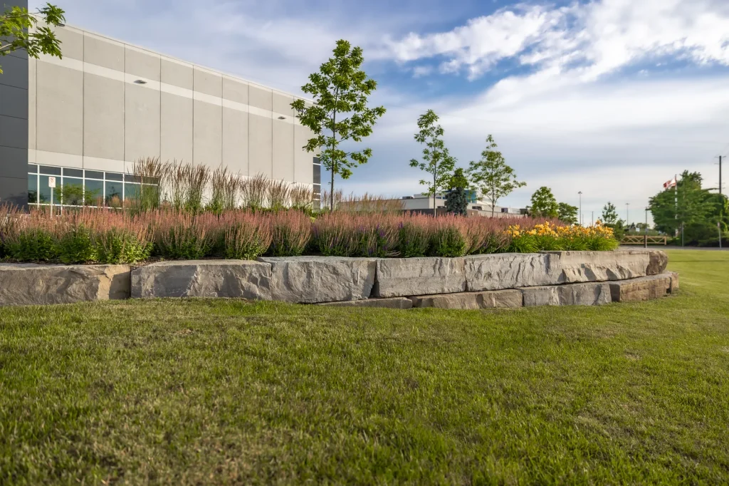 Commercial landscape with a natural stone retaining wall, perennial bed and lawn.
