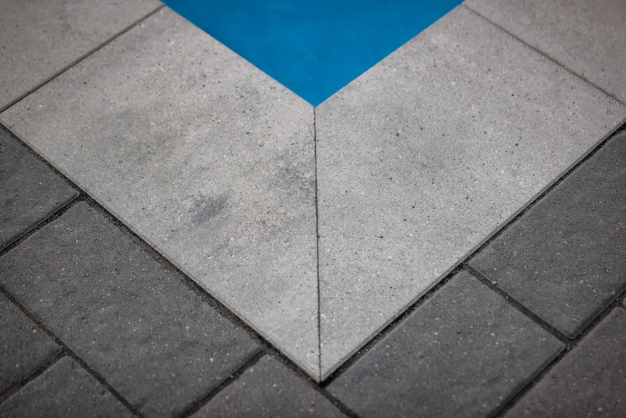 Close geometric detail where pool coping and contrasting pavers meet in Dundas.