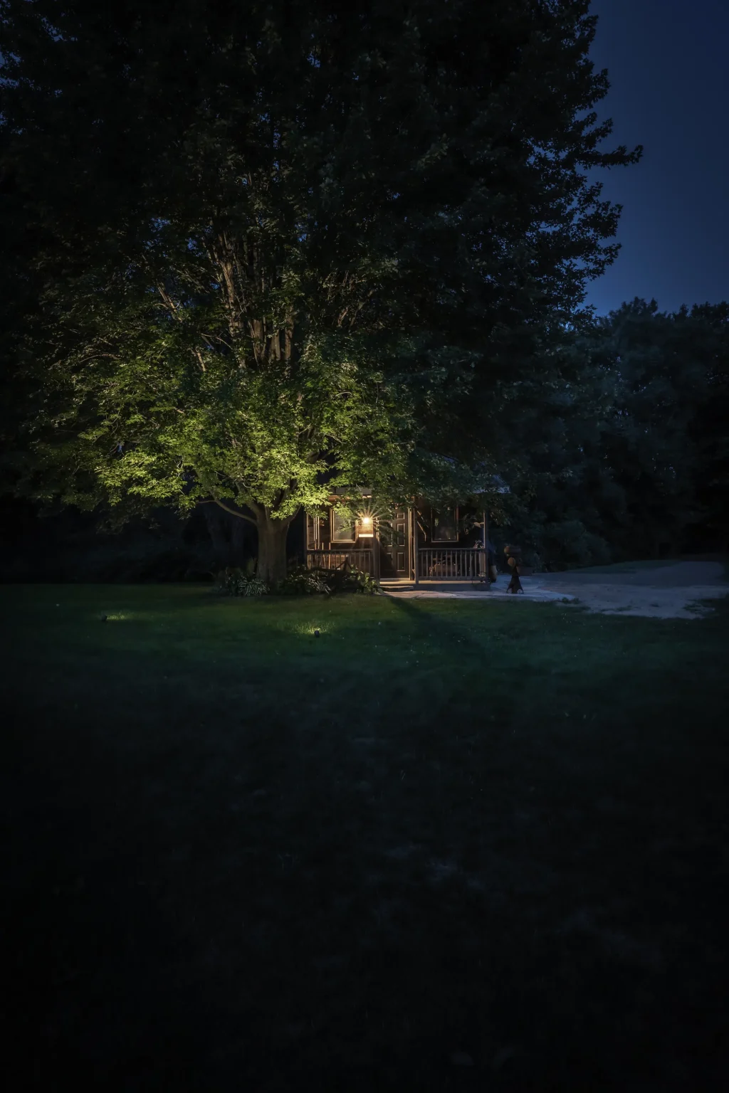 Mature tree and lawn illuminated with landscape lighting at night in Dundas.