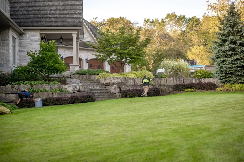 Landscape crew member maintaining a garden beside a stone retaining wall.