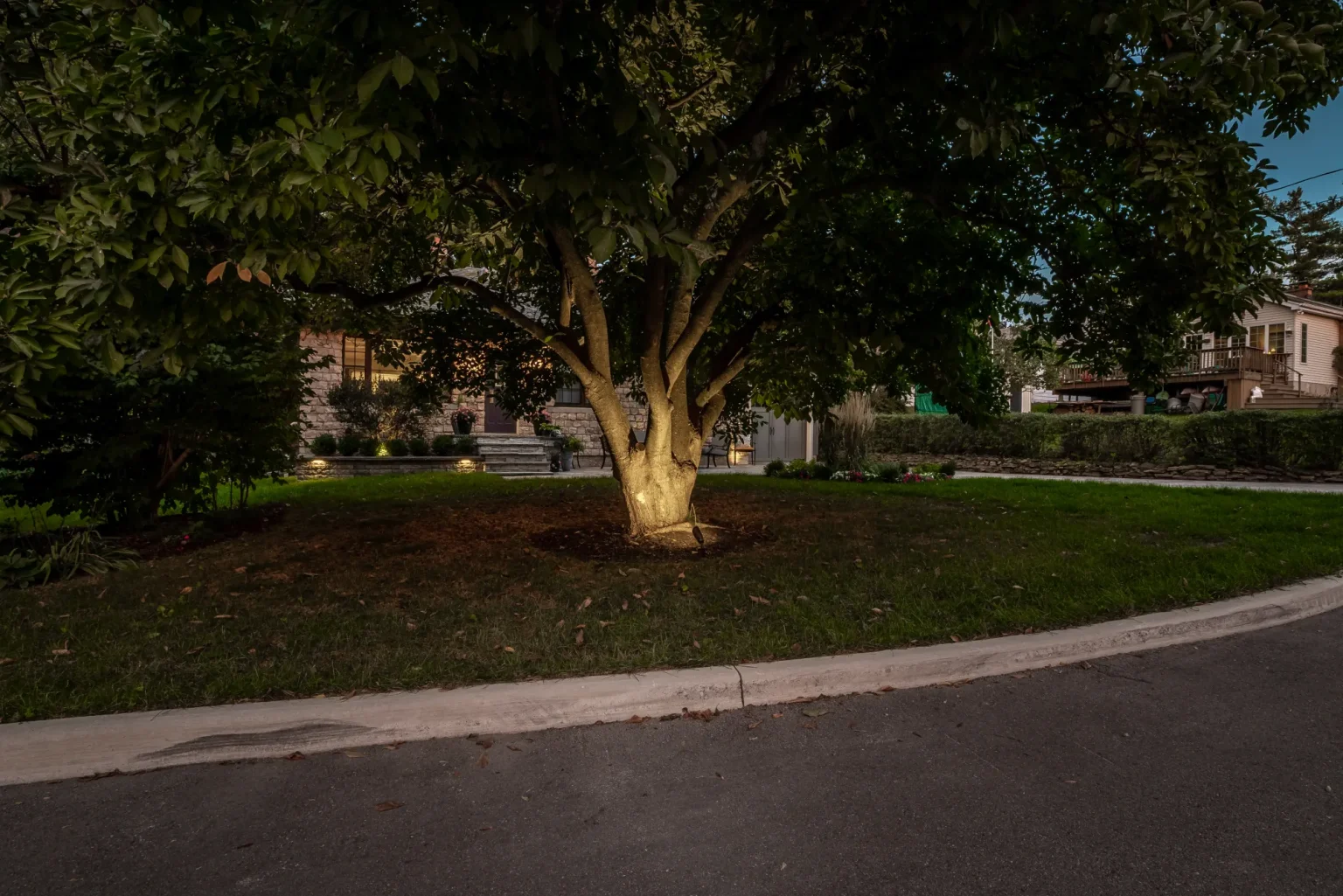 Wide dusk property view with a mature illuminated tree and completed front landscaping in Hamilton.